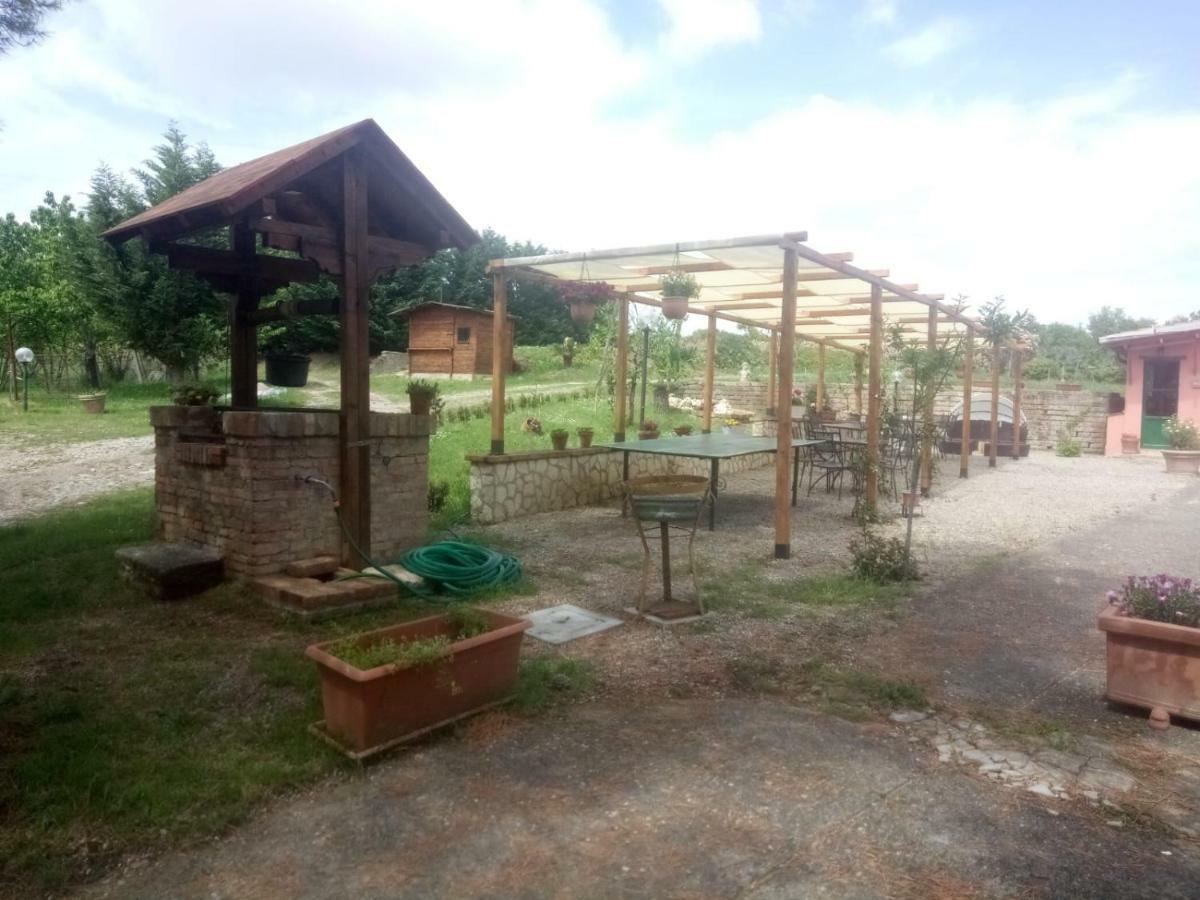 شقة كاستيغليون ديل لاغو  في Agriturismo Colle Al Sole المظهر الخارجي الصورة